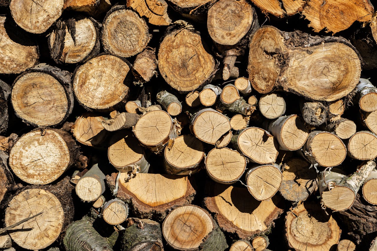 Close-up of stacked cut tree logs showing rings and texture. Perfect for nature and craft themes.